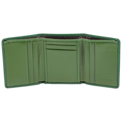 PICASSO AND CO LEATHER DOUBLE FOLD GREEN CARD HOLDER